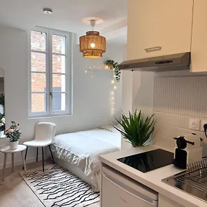 Le Saphir , Toulouse France